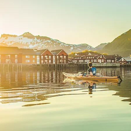 Astra Whale - Waterfront Boutique In Lofoten